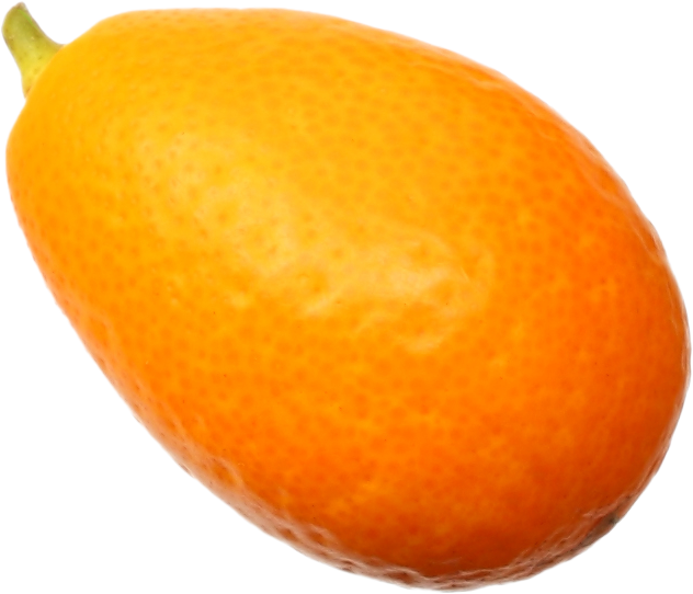 Kumkwat